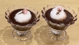 写真　おしるこ