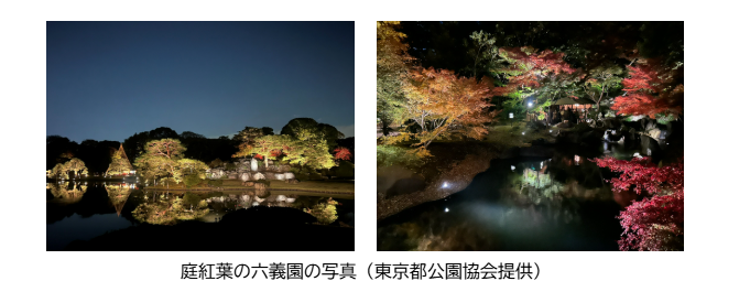 （画像）庭紅葉の六義園の写真（東京都公園協会提供）