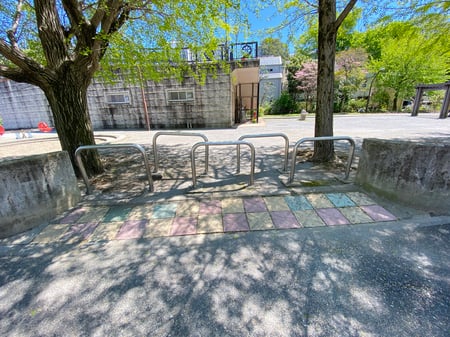 写真　木の成長が原因で、地面が盛り上がっている様子