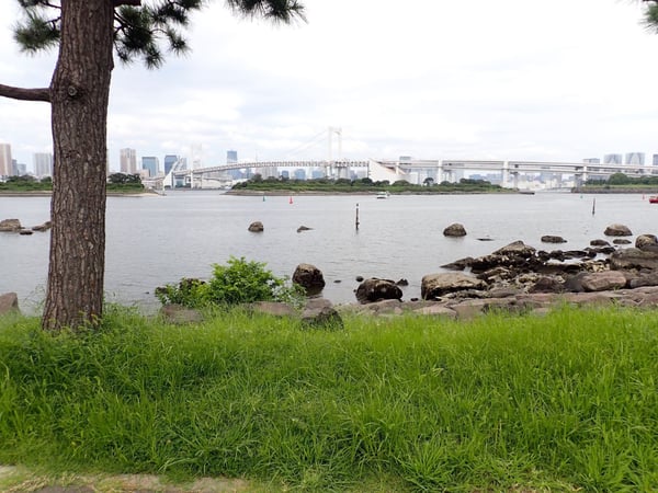 写真　お台場海浜公園