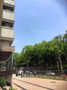 写真　岸田が撮影した青空