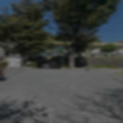 写真　視野狭窄の見え方