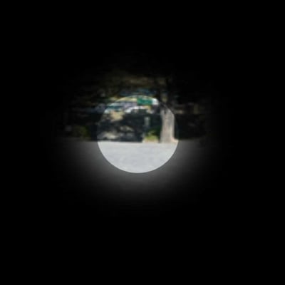 写真　視野狭窄の見え方
