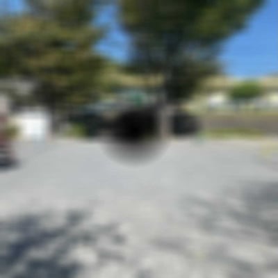 写真　中心暗点の見え方