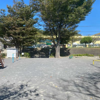 写真　公園の風景